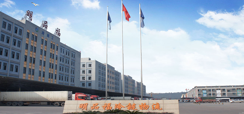 2024新澳门免费原料大全